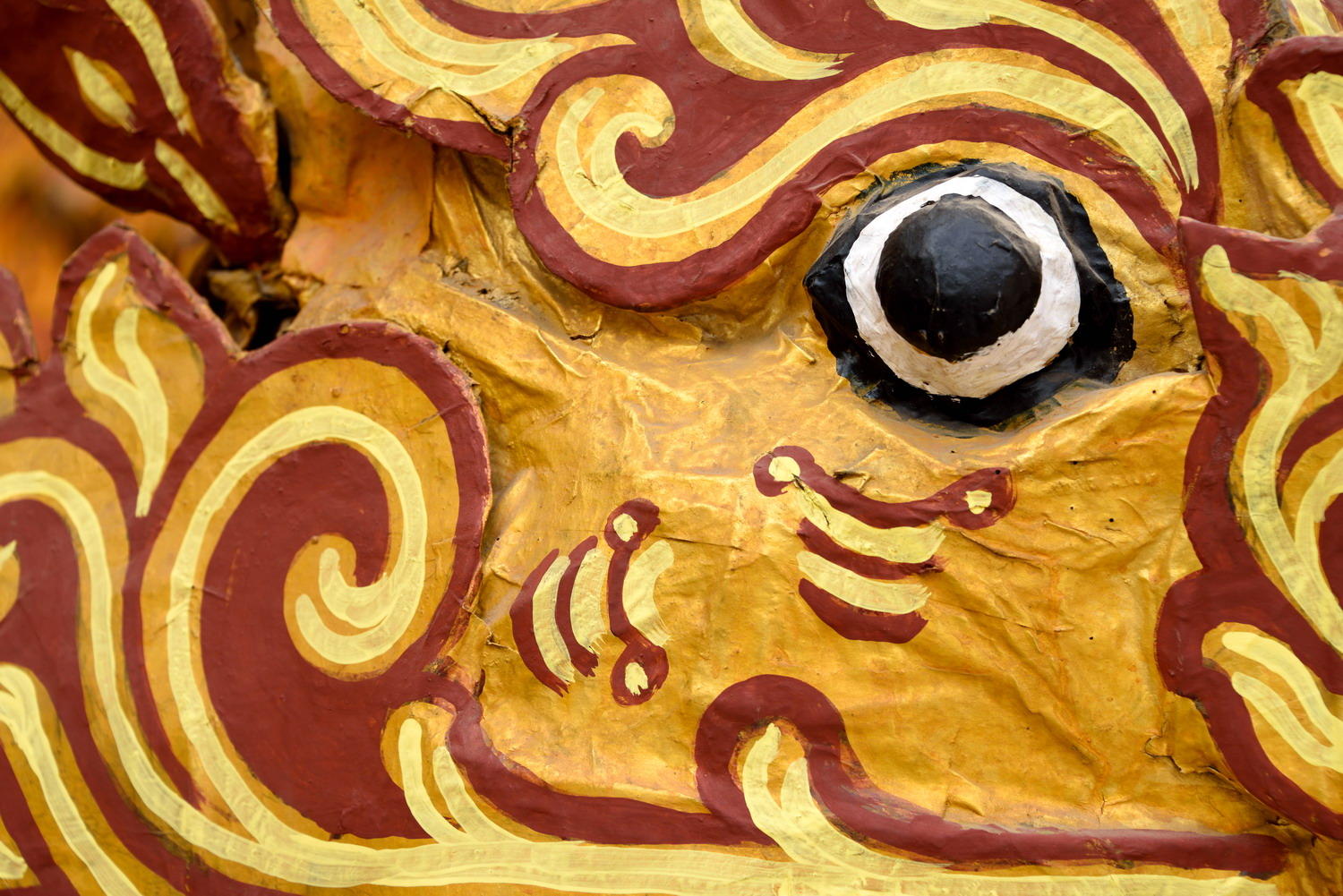 DSC_11497_1A1 - The Eye of the Tiger