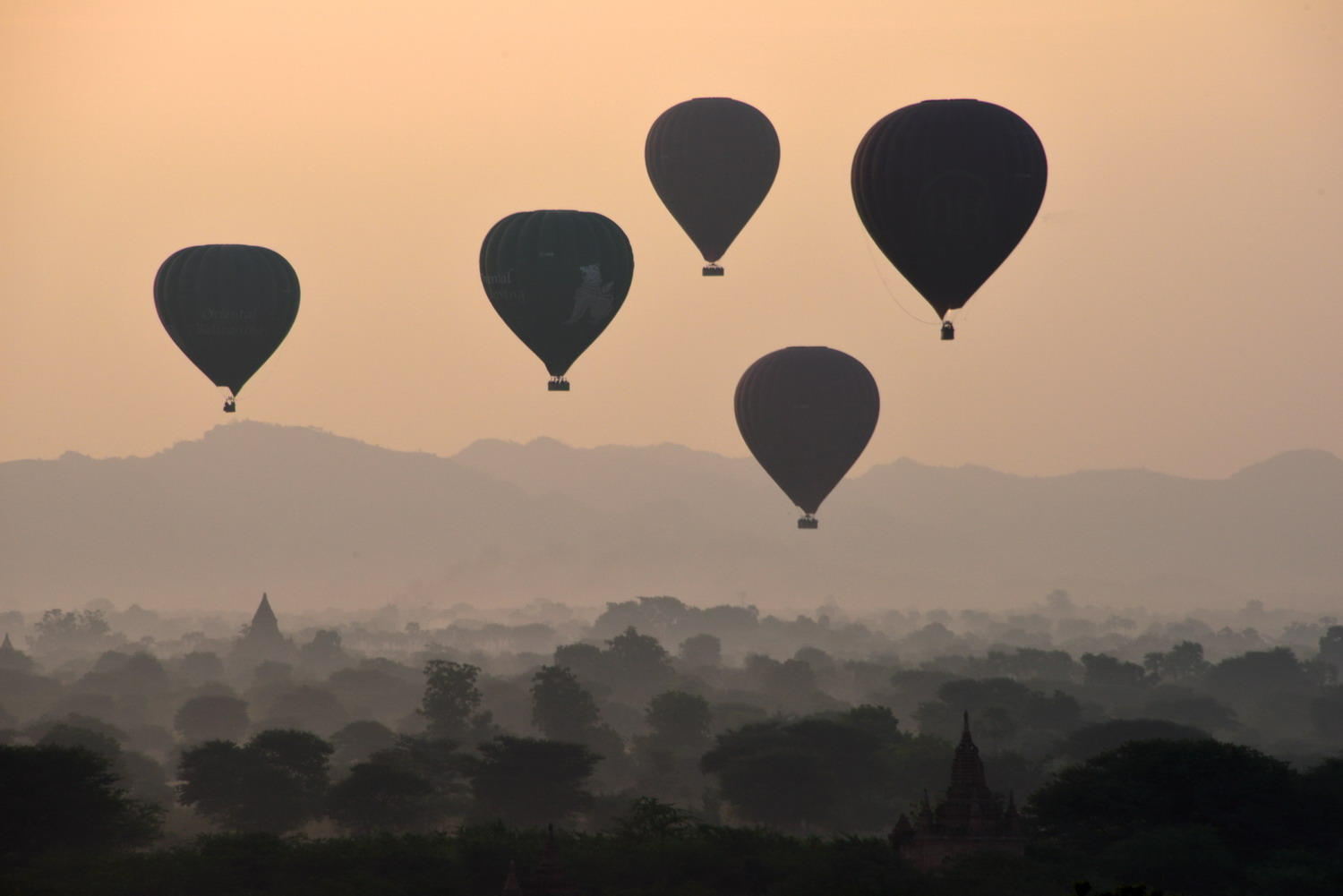 DSC_11755_1A2 - Balloons Over Bagan