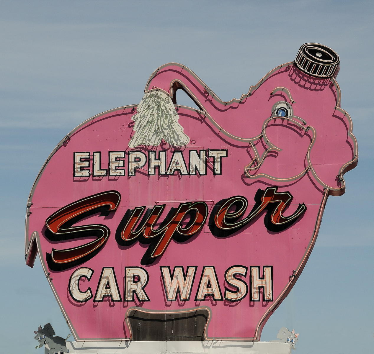 DSC_1899_A2 - Elephant Car Wash