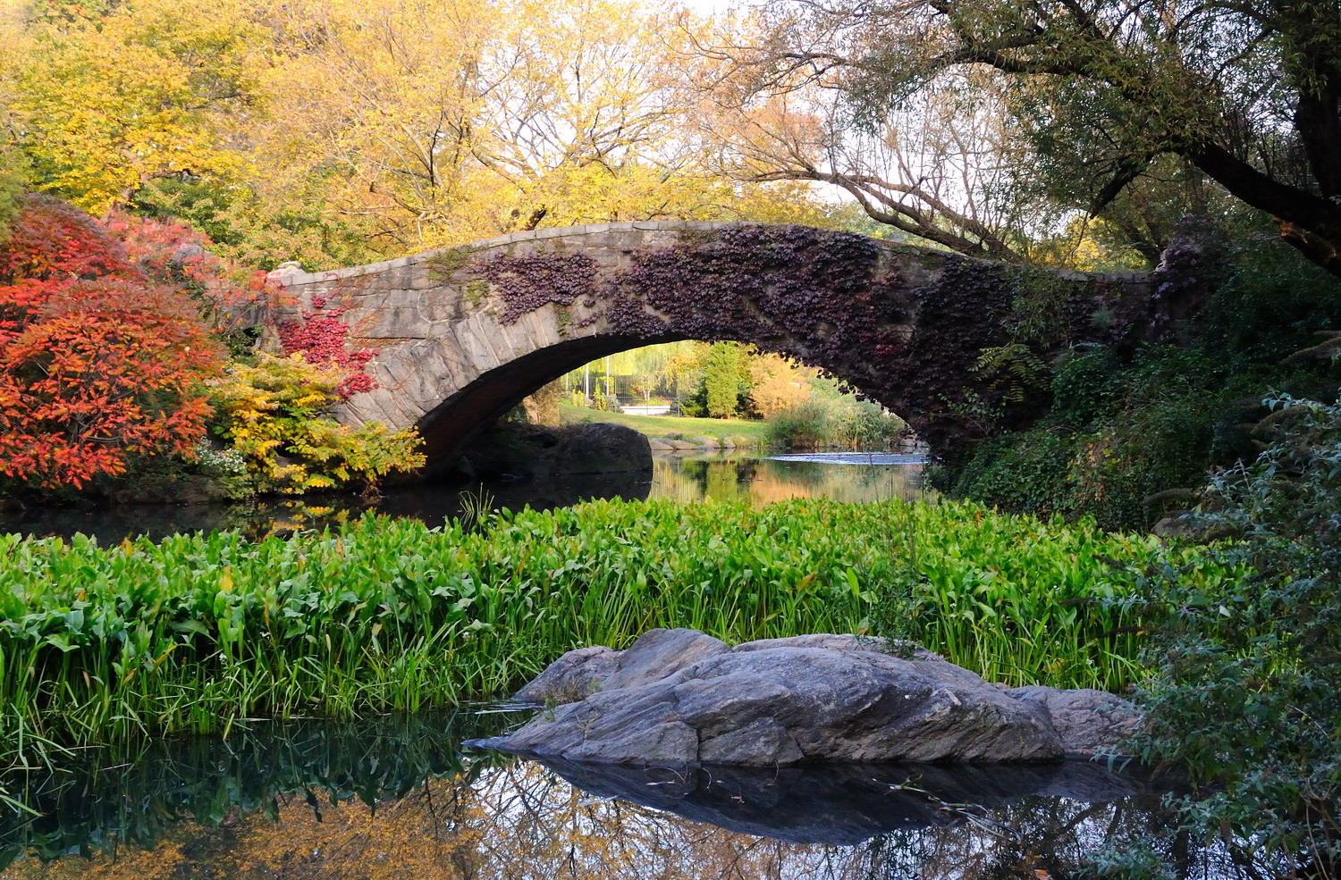 DSC_10550A1 - Gapstow Bridge, Central Park, NYC