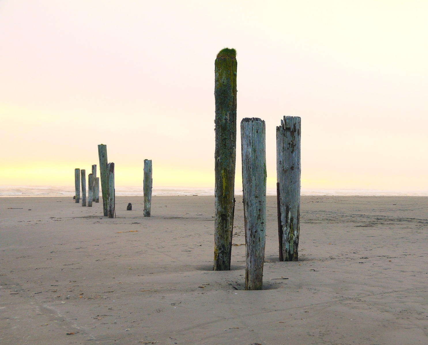 DSC_1849B1 - Pacific Beach, Washington