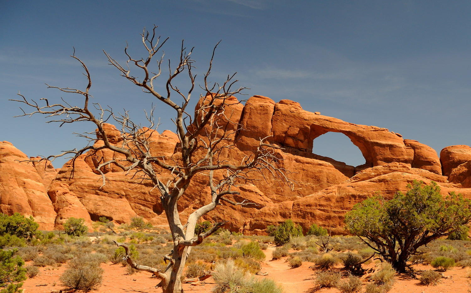 DSC_9191B - Skyline Arch, Arches National Park