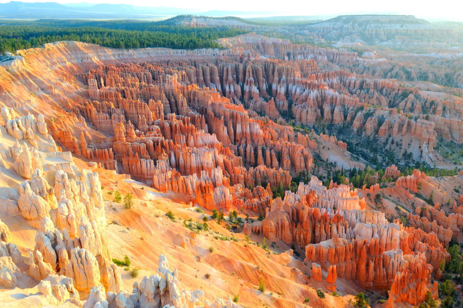 DSC_17666A1 - The Amphitheater, Bryce Canyon National Park