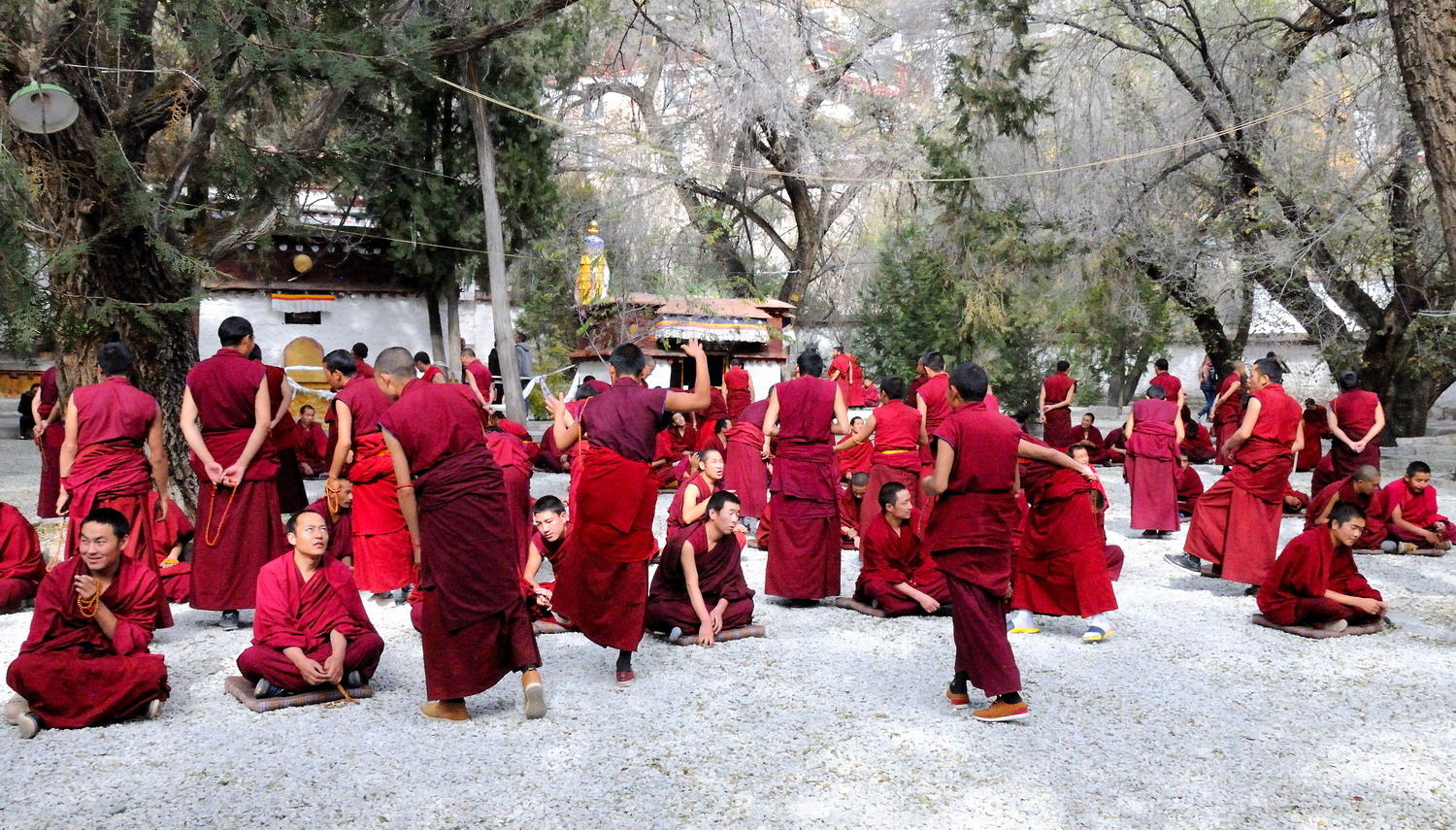 DSC_0121_1A1 - Monk's Debate, Sera Monastery