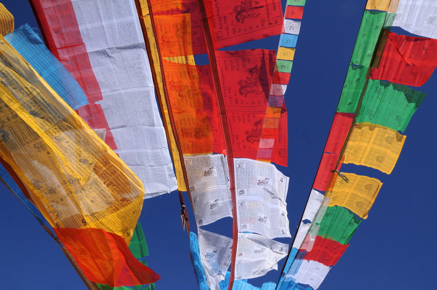 DSC_0528A1 - Tibetan Prayer Flags