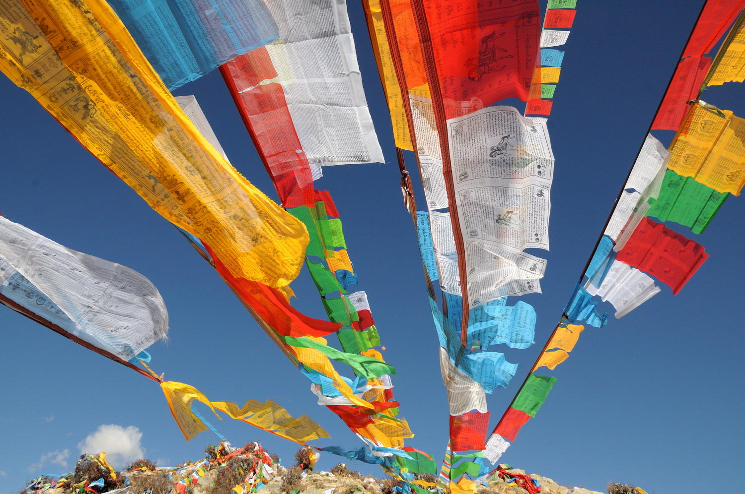 DSC_0540A1 - Tibetan Prayer Flags