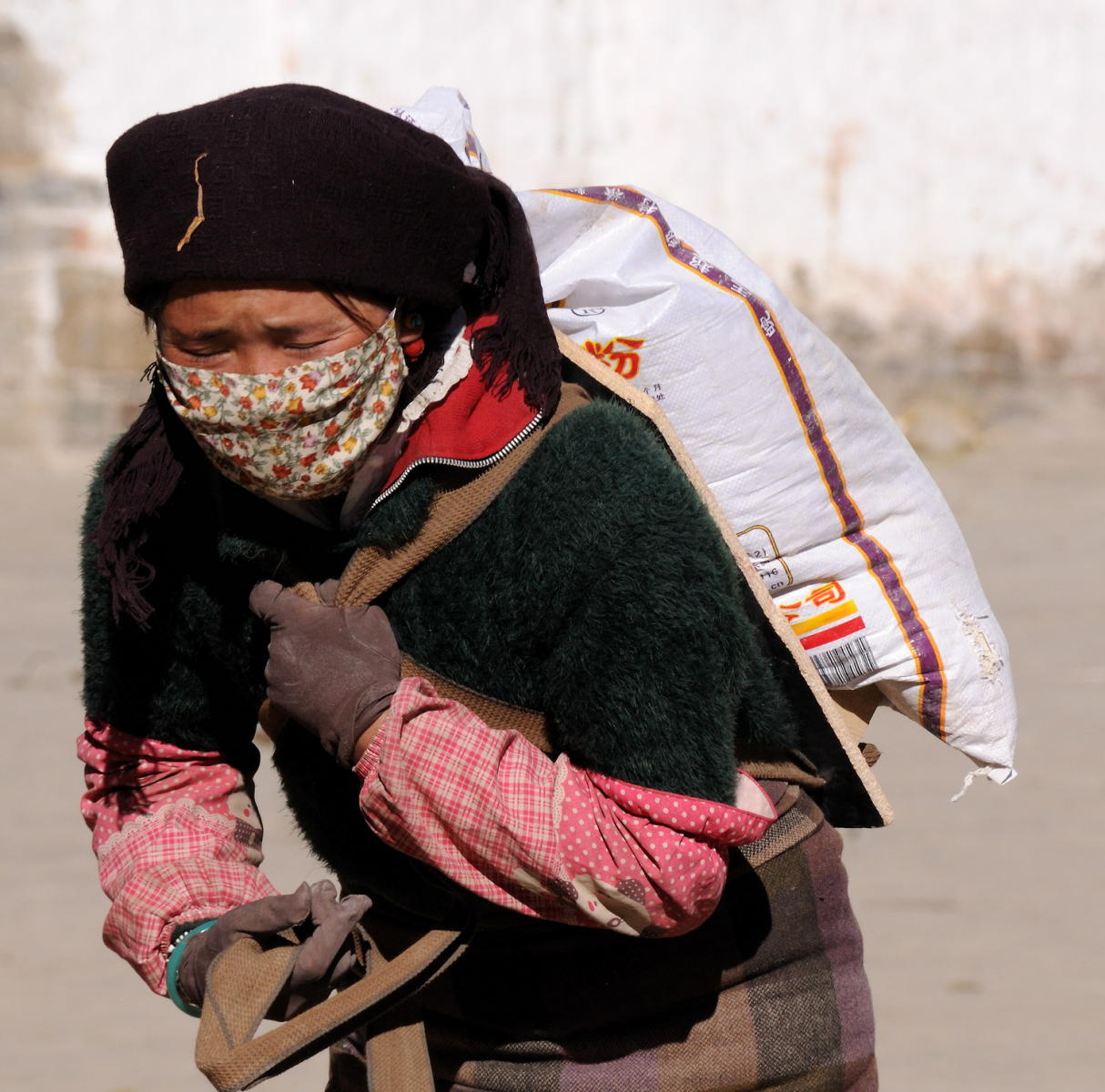 DSC_1070A - Tashi Lhunpo Laborer