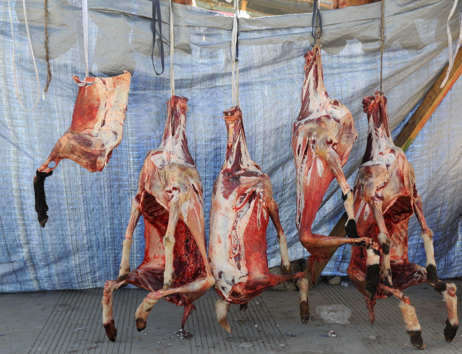 DSC_1515A - Tingi Meat Market