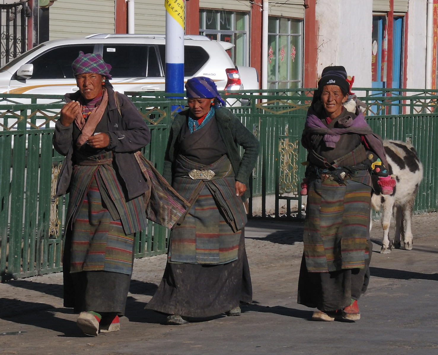 DSC_1537A - Tingri Women