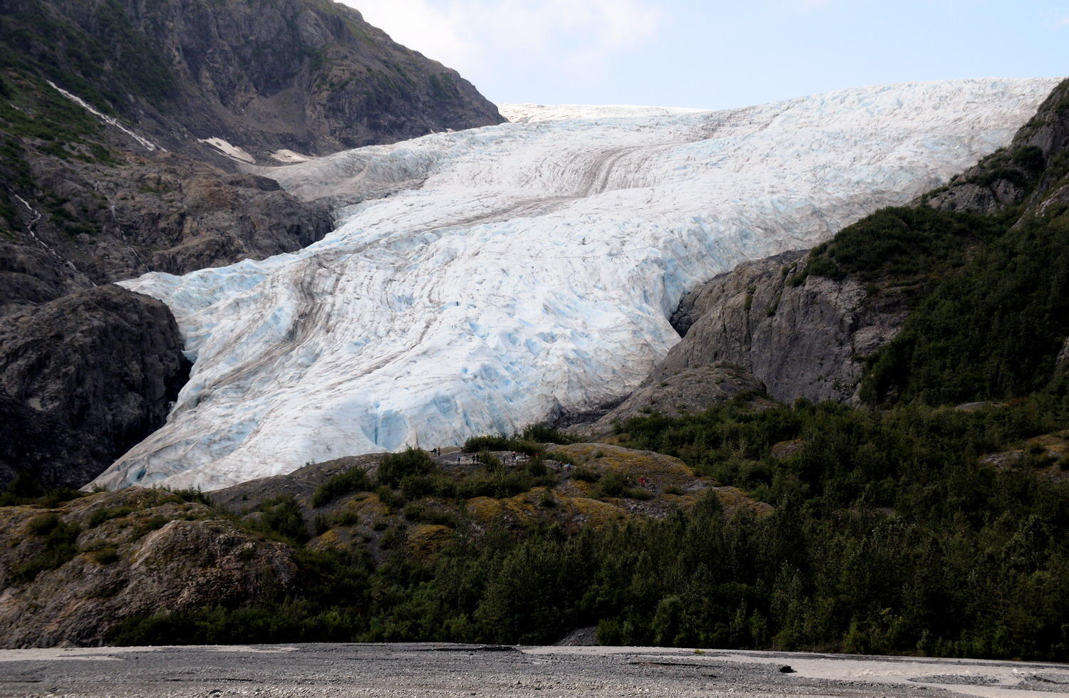 DSC_4312_1A1 - Exit Glacier