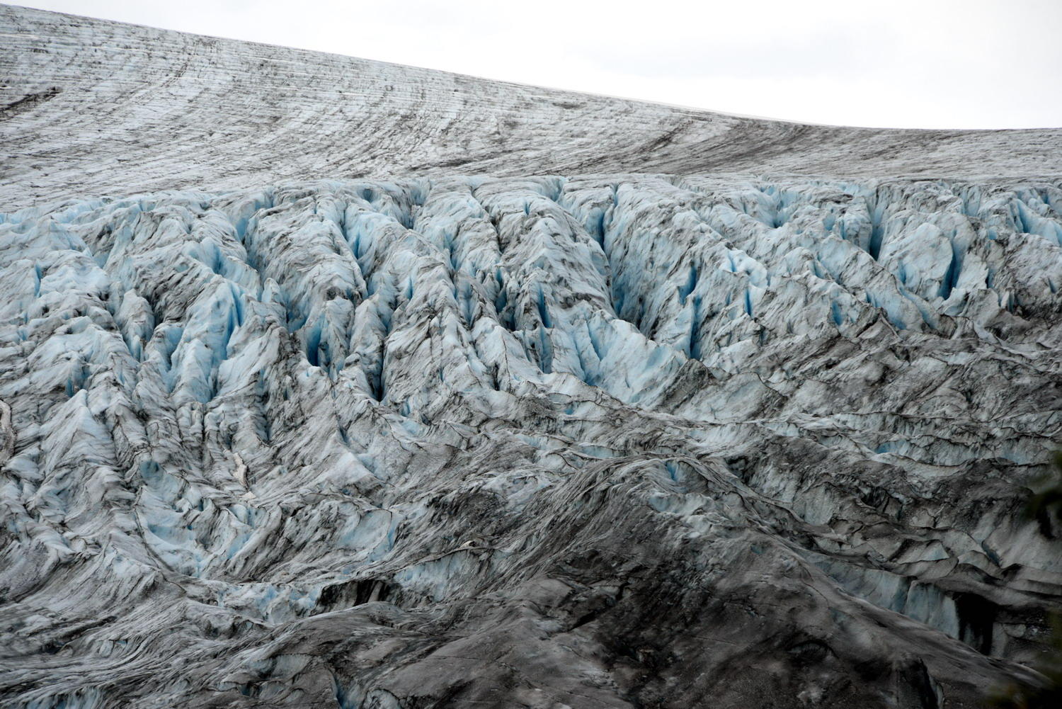 DSC_6682_1A1 - Exit Glacier