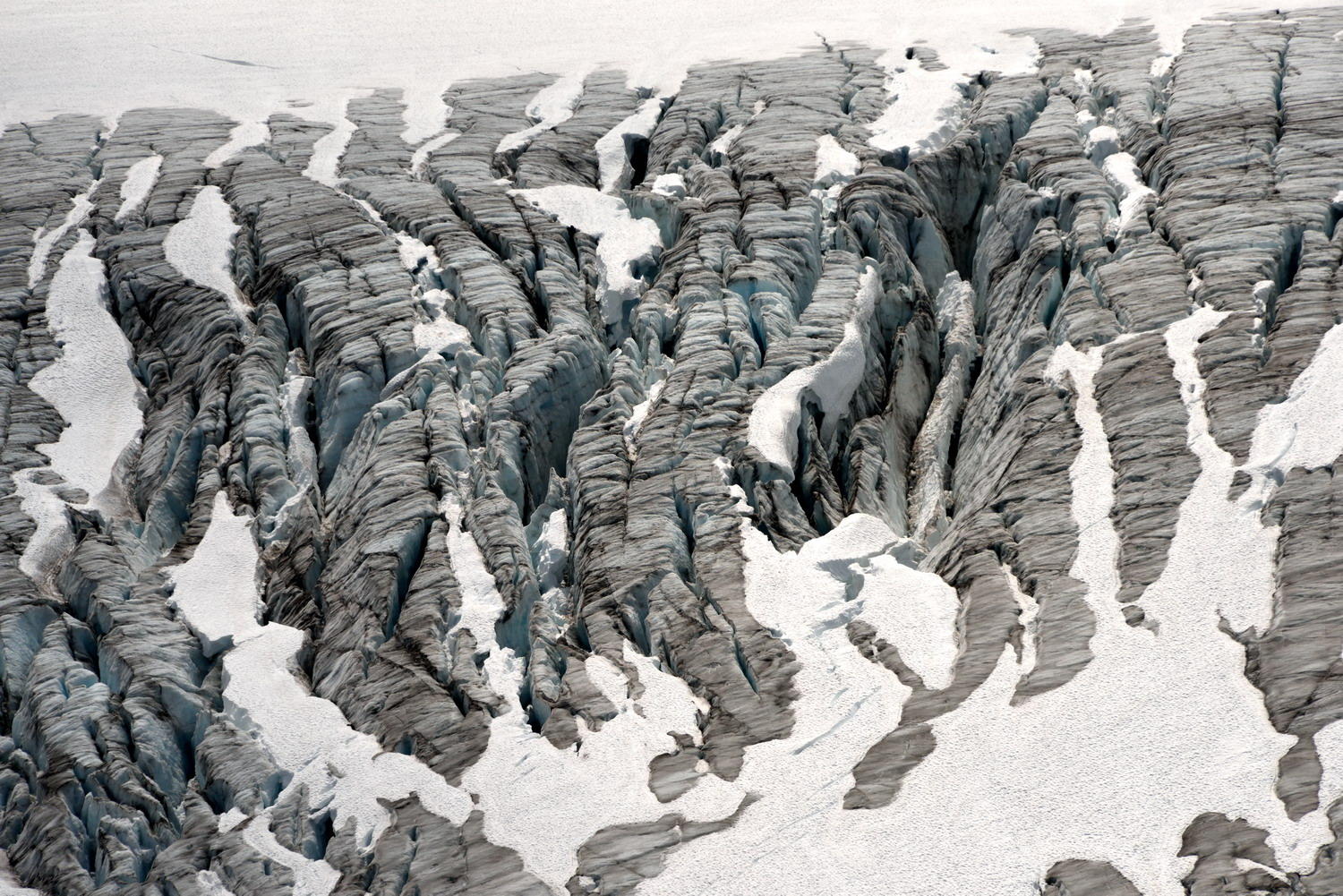 DSC_6761_1A1 - The Harding Ice Field