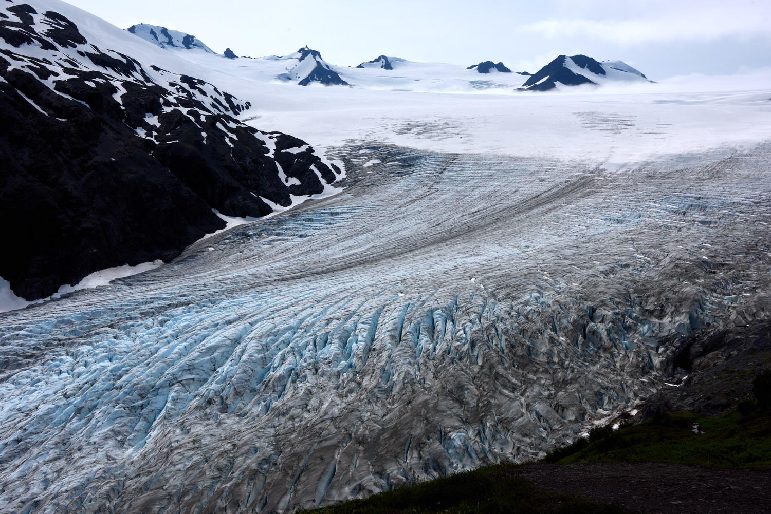 DSC_6789_1A1 - Exit Glacier at the Harding Ice Field