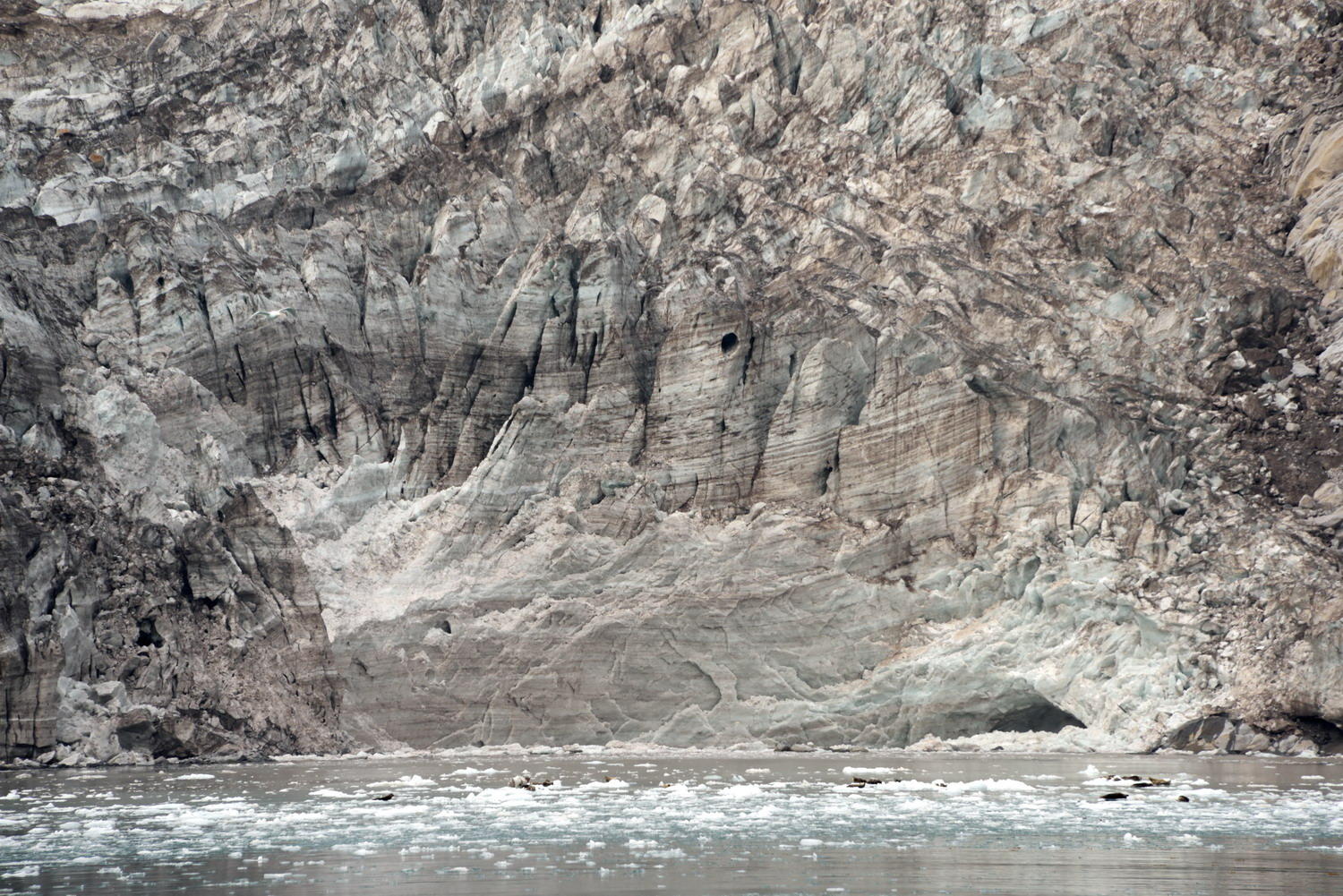 DSC_7434_1A1 - Ojive Glacier