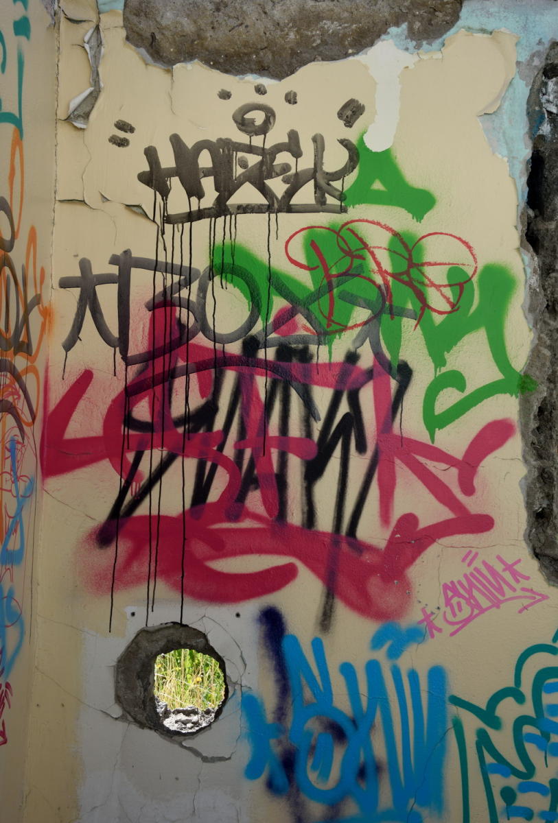 DSC_9354_1A1 - Ushuaia Graffiti