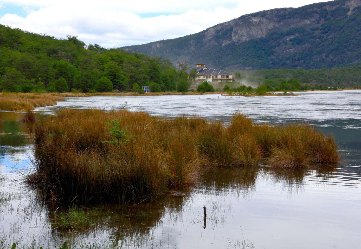 DSC_9565_1A1 - Tierra Del Fuego National Park