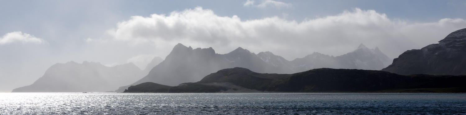 DSC_0070_1A1 - South Georgia Shoreline