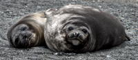 © 2026 Gerald E Bowers.<br>All rights reserved.