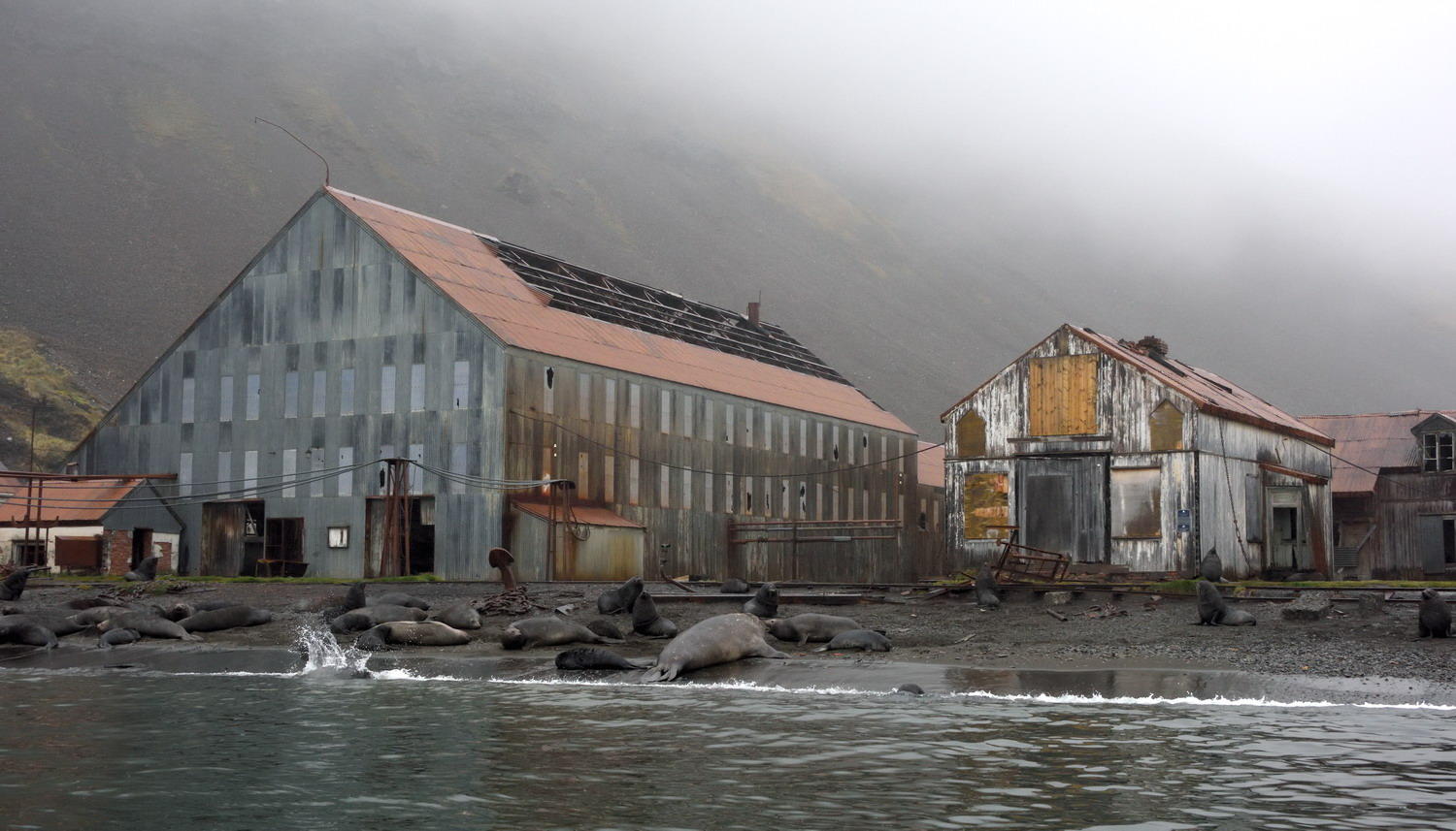 DSC_1176_1A1 - Stromness Whaling Station