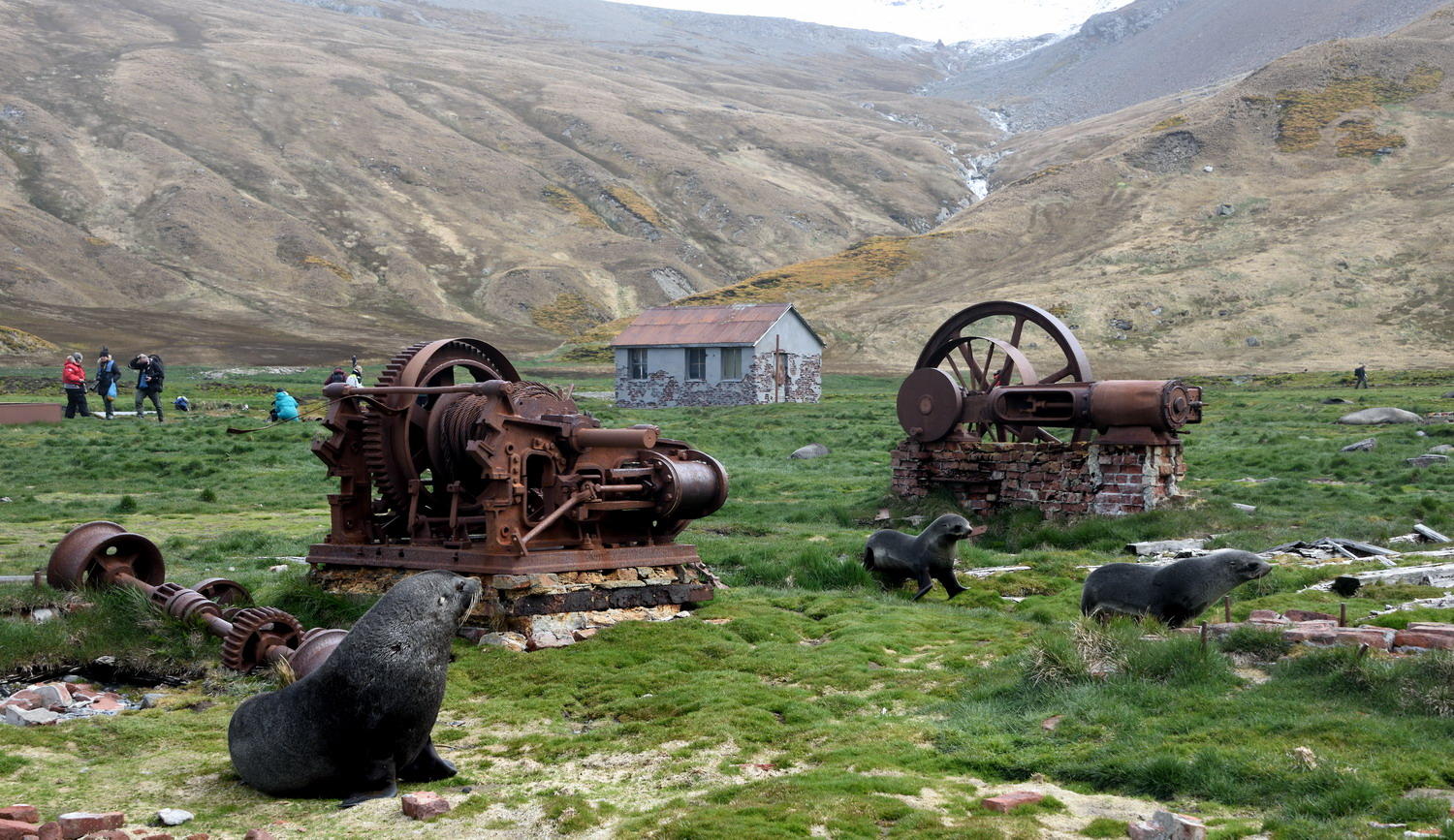 DSC_1485_1A1 - Whaling Station Equipment (Ocean Harbor)