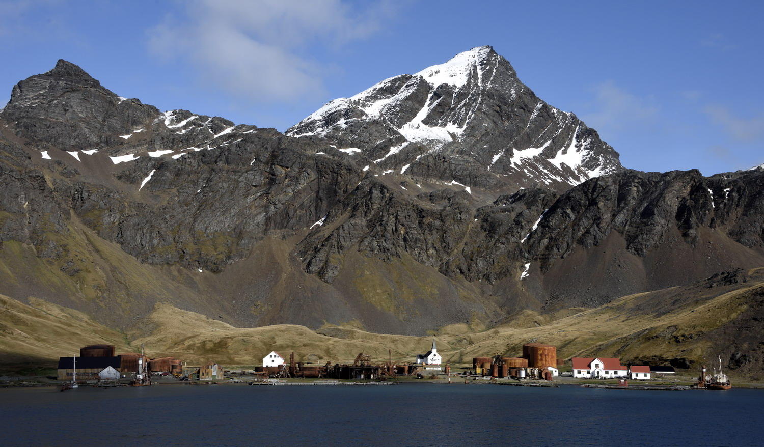 DSC_2595_1A1 - Grytviken Whaling Station