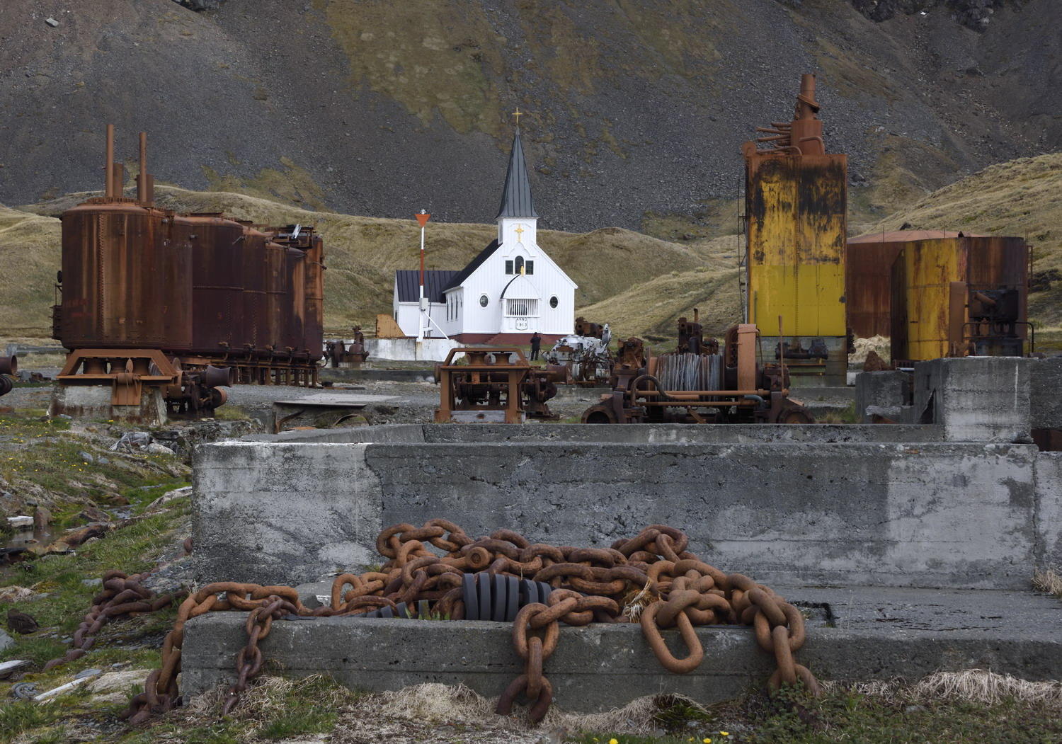 DSC_2630_1A1 - Grytviken Whaling Station