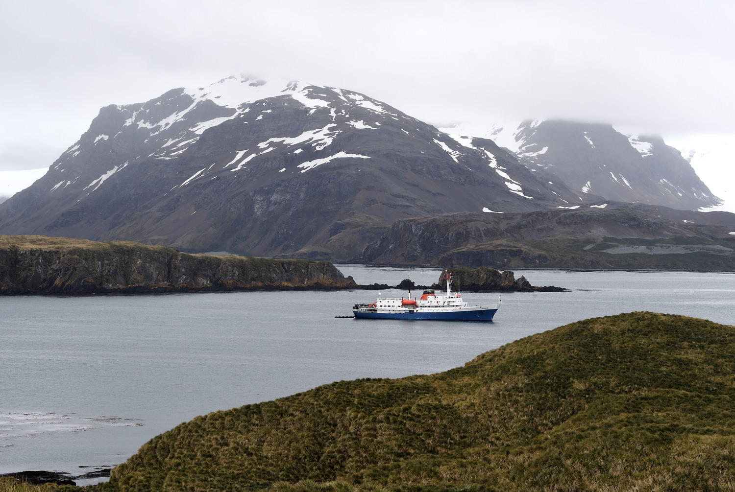 DSC_5233_1A2 - MV Ushuaia (Prion Island)
