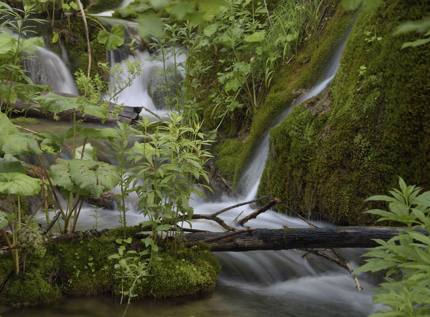 DSC_5940_1A2 - Plitvice National Park