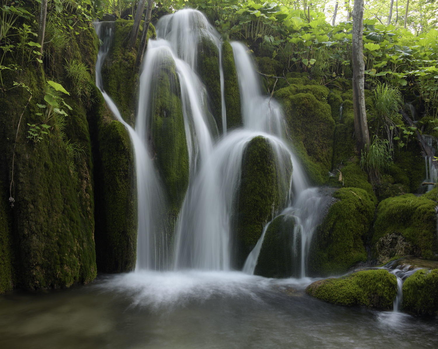 DSC_5950_1A1 - Plitvice National Park