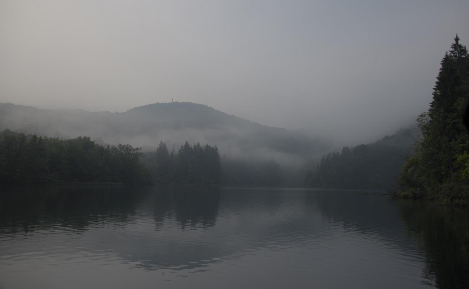 DSC_5977_1A1 - Morning Fog (Plitvice National Park)