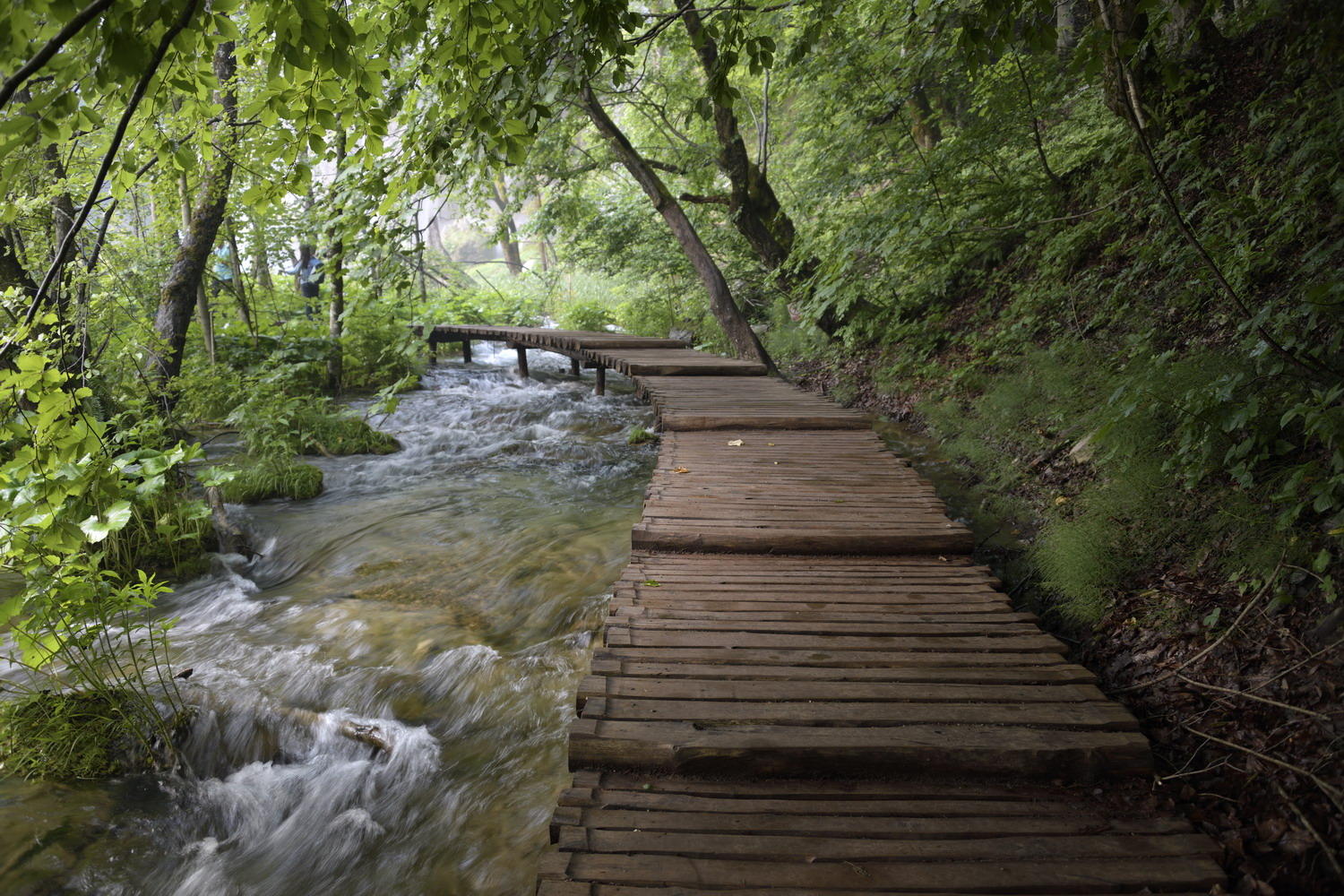 DSC_5984_1A1 - Boardwalk (Plitvice National Park)