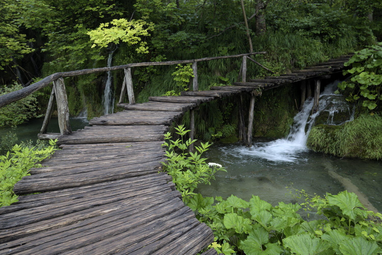 DSC_6039_1A1 - Boardwalk (Plitvice National Park)