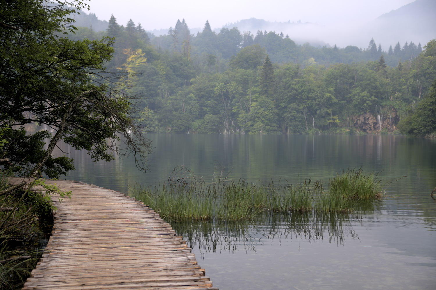 DSC_6088_1A1 - Boardwalk (Plitvice National Park)