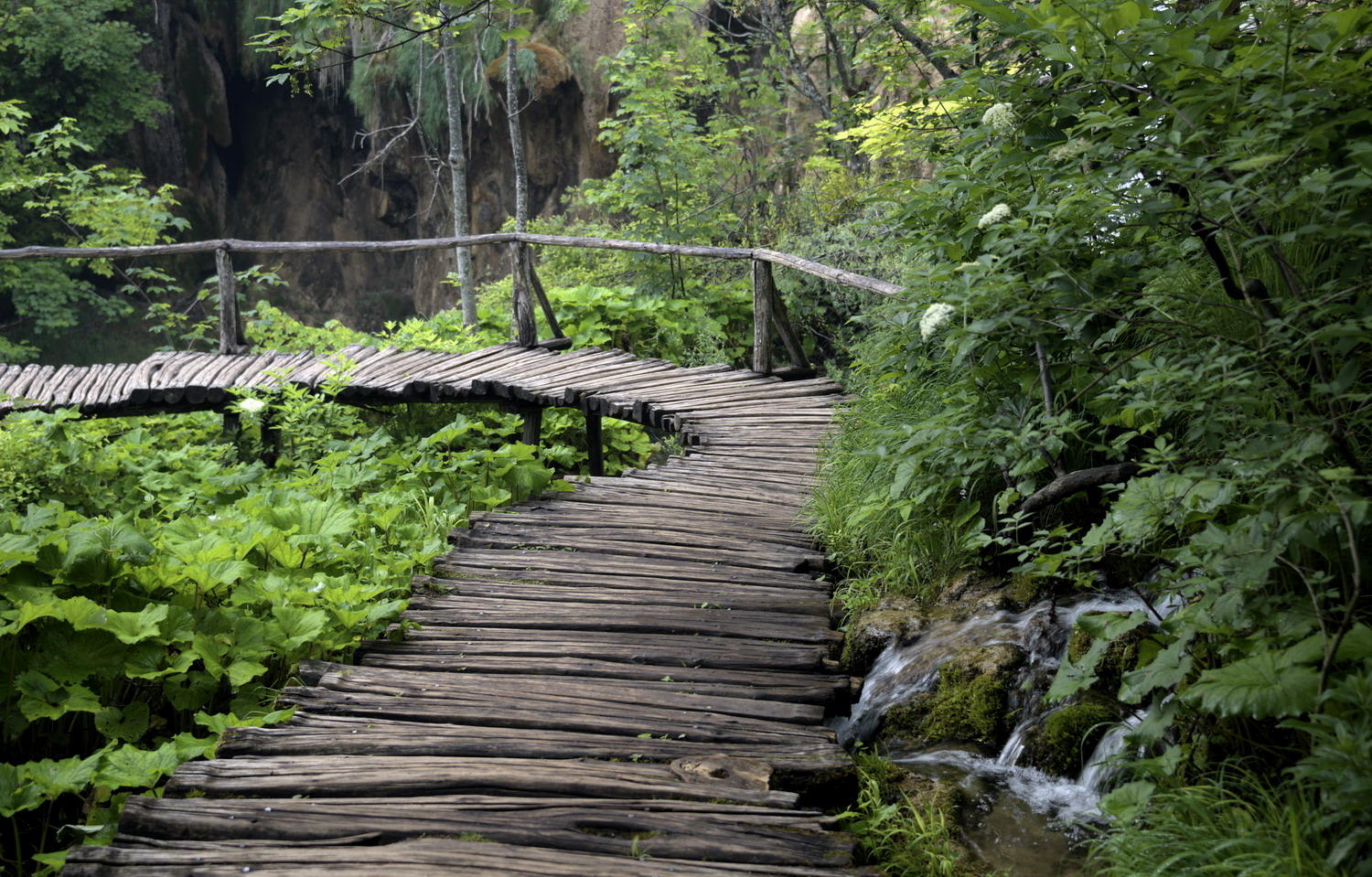 DSC_6120_1A1 - Boardwalk (Plitvice National Park)