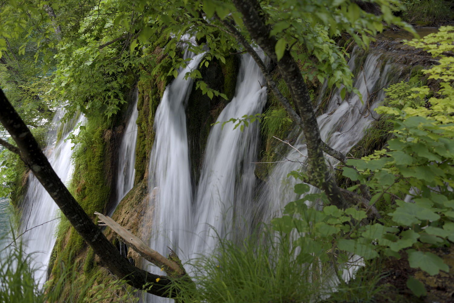 DSC_6178_1A1 - Plitvice National Park