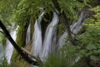 © 2021 Gerald E Bowers. All rights reserved.