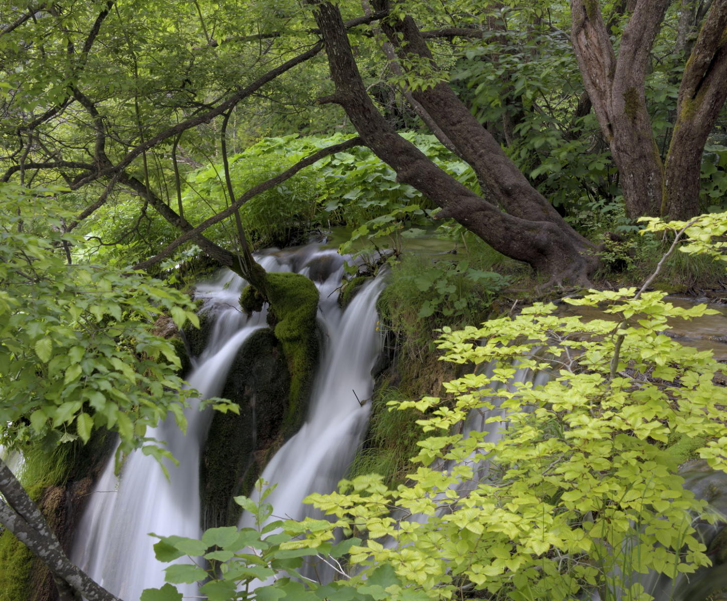 DSC_6188_1A1 - Plitvice Natinal Park