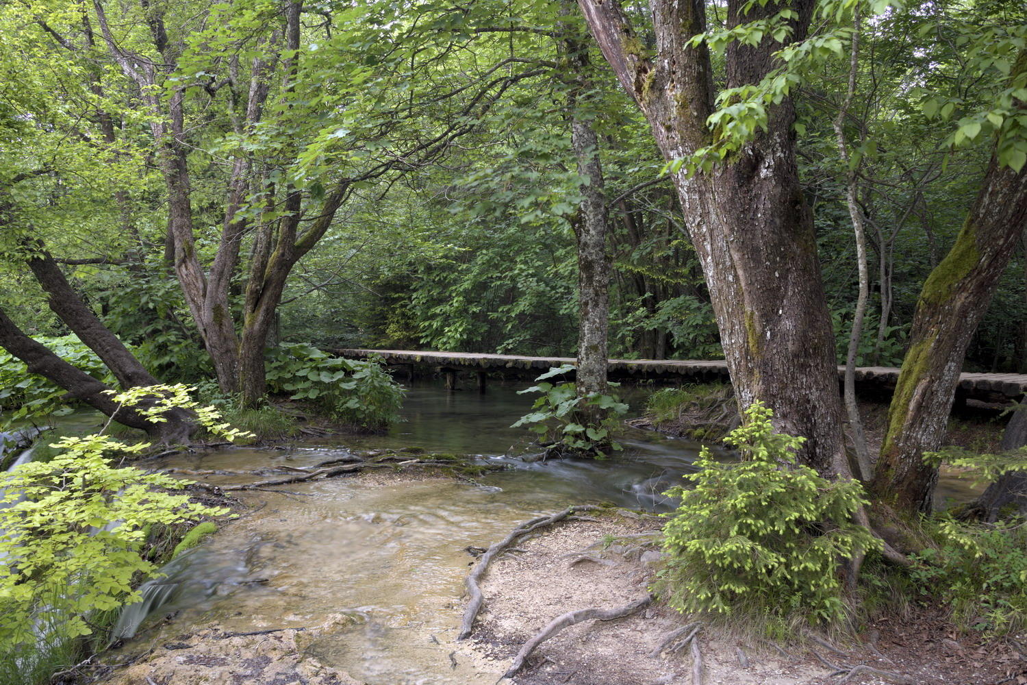 DSC_6191_1A1 - Plitvice National Park