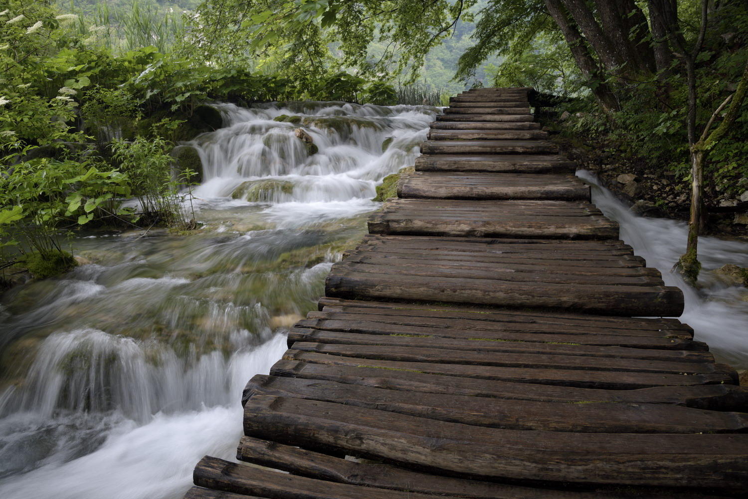 DSC_6381_1A1 - Boardwalk (Plitvice National Park)