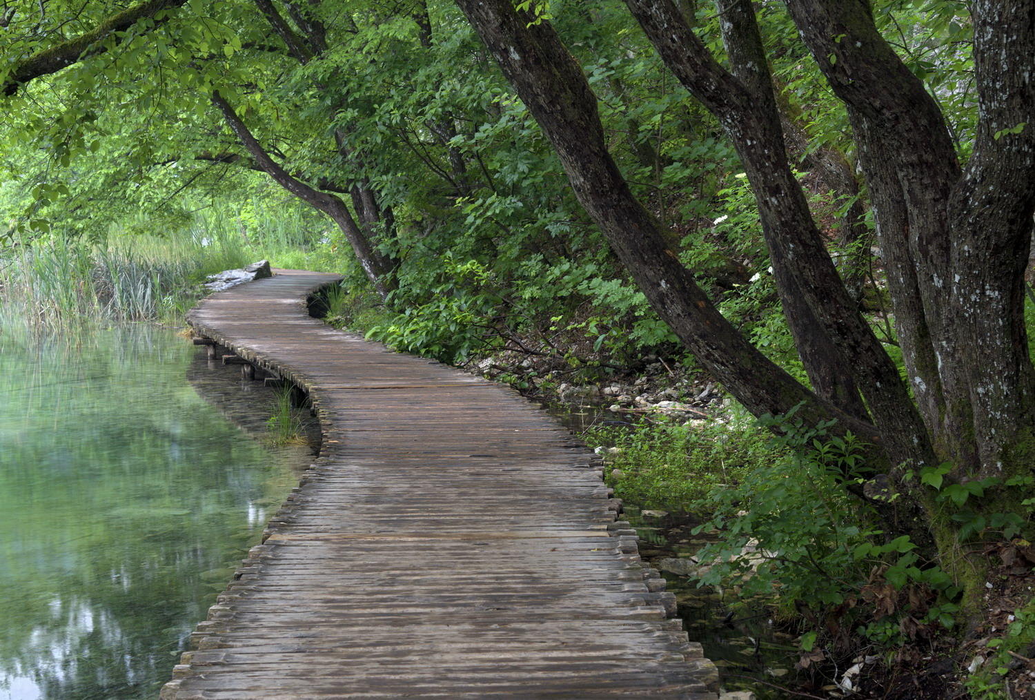 DSC_6400_1A2 - Boardwalk (Plitvice National Park)