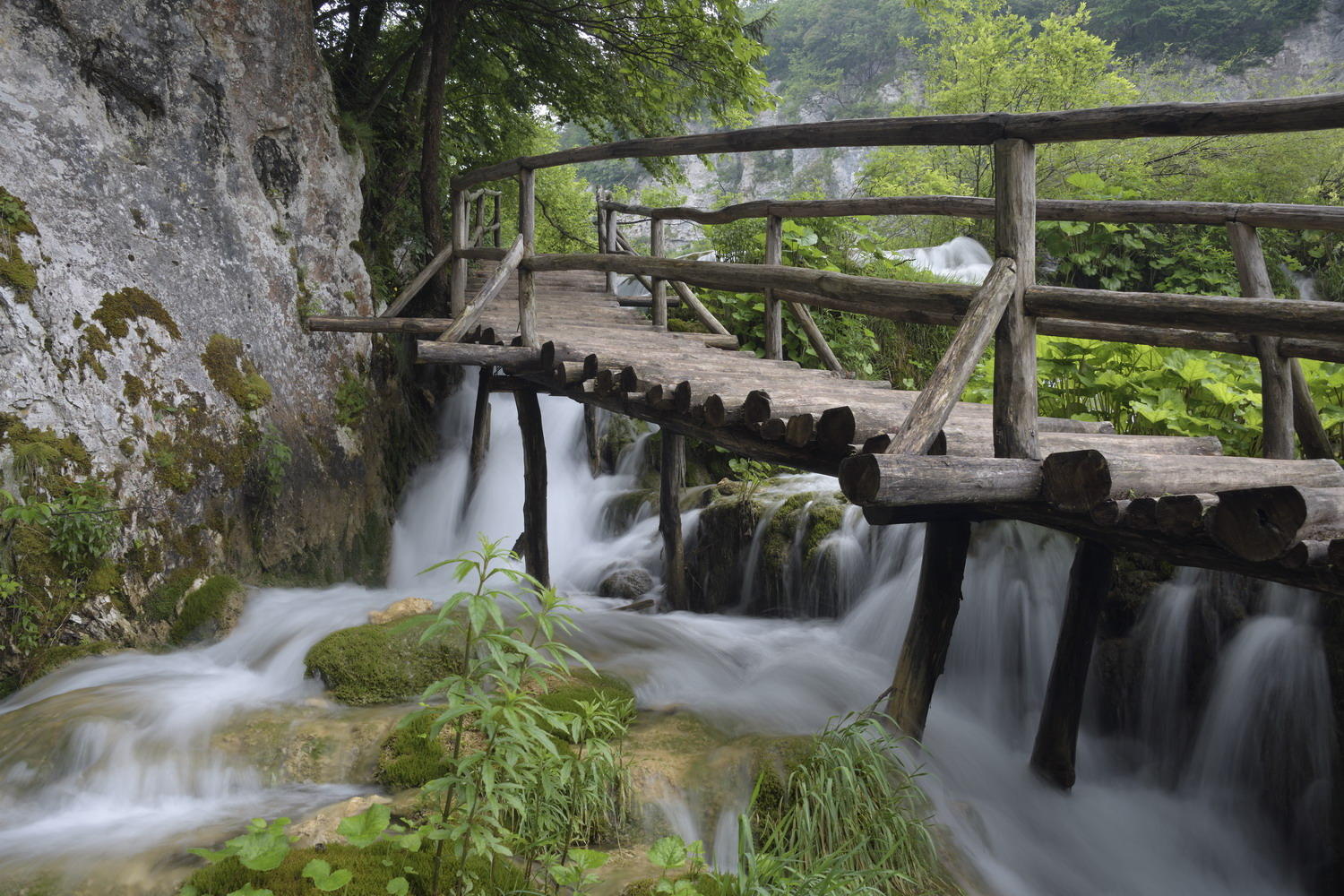 DSC_6422_1A1 - Boardwalk (Plitvice National Park)