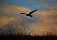 © 2024 Gerald E Bowers. All rights reserved.
