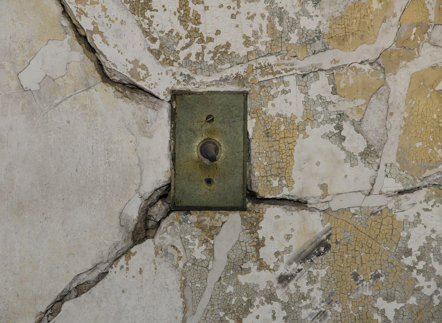 DSC_6672_1A3 - Electrical Switch Plate