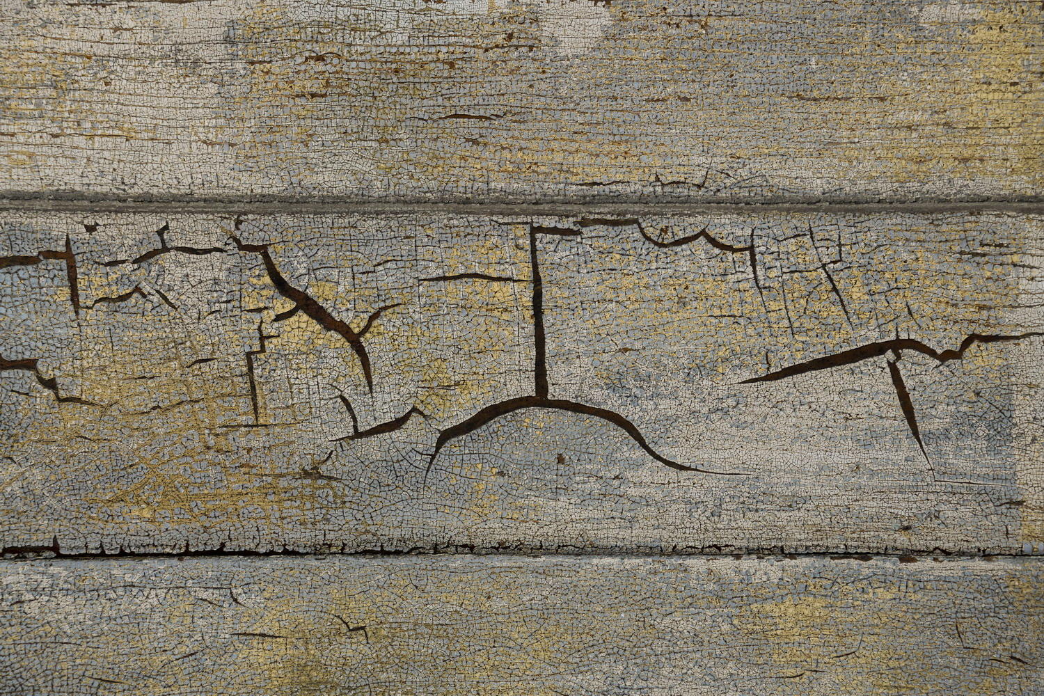 DSC_6675_1A2 - Dried and Blistered Paint
