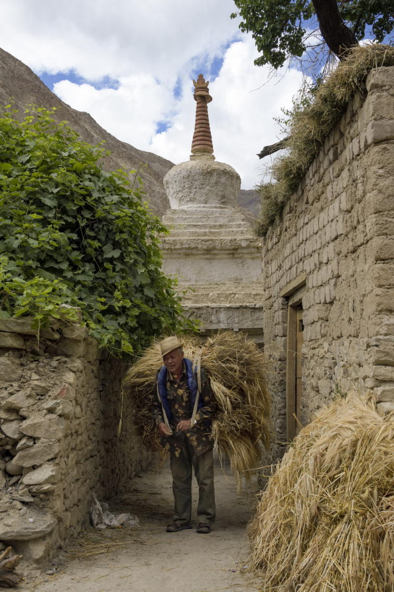 DSC_2662_1A2 - Carrying Barley (Skurbuchan Village)