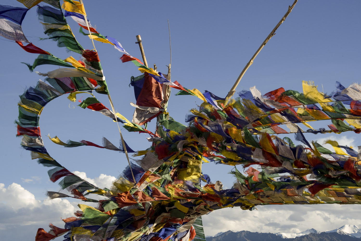 DSC_4677_1A2 - Prayer Flags (Leh)