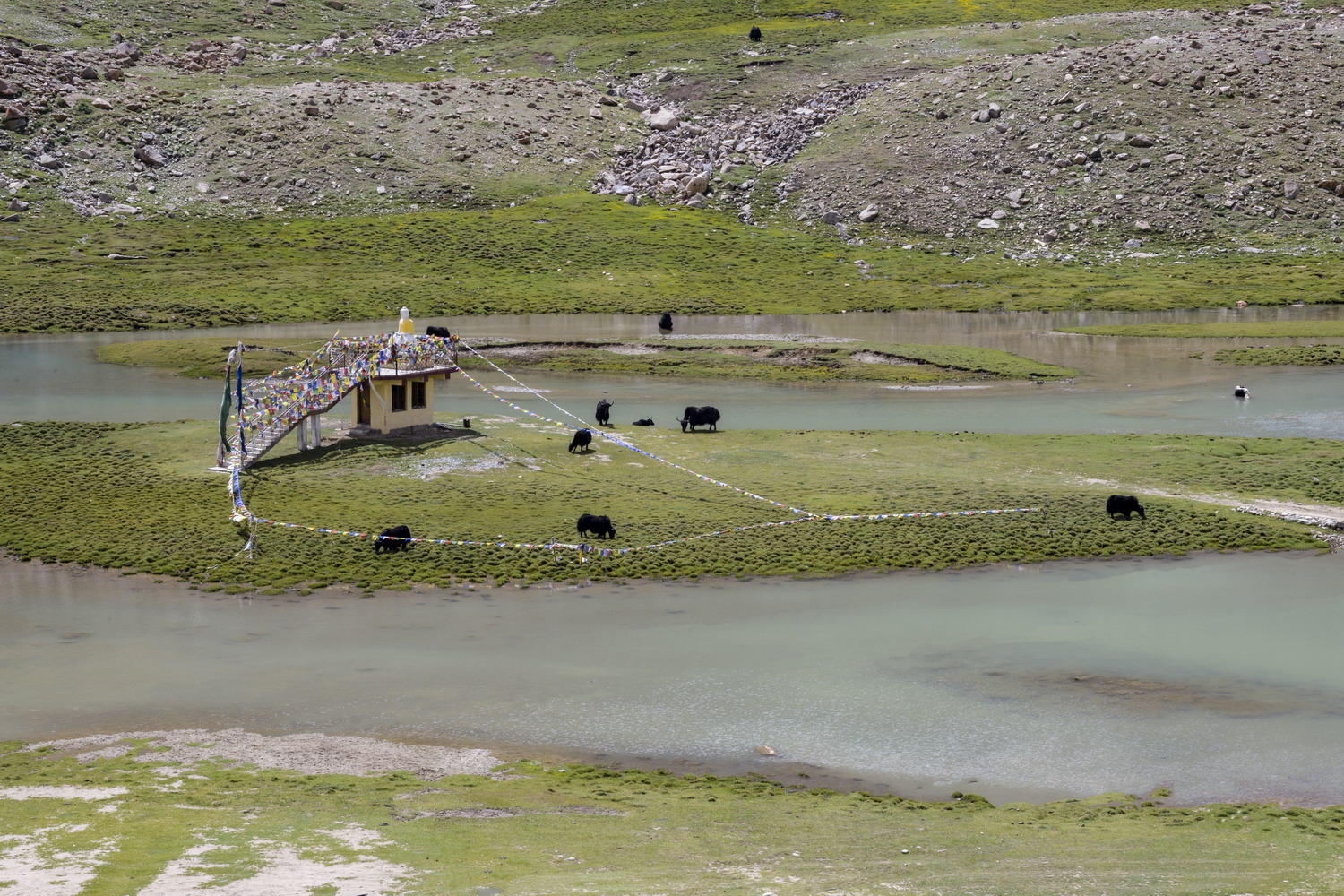 DSC_5658_1A2 - North Pullu (Khardung La Road)