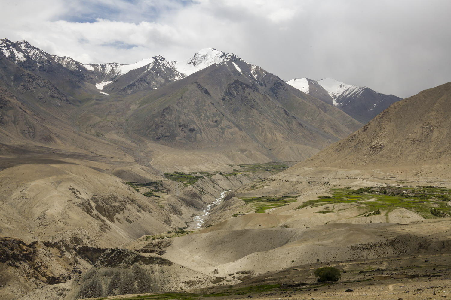 DSC_5692_1A1 - Shayok Valley