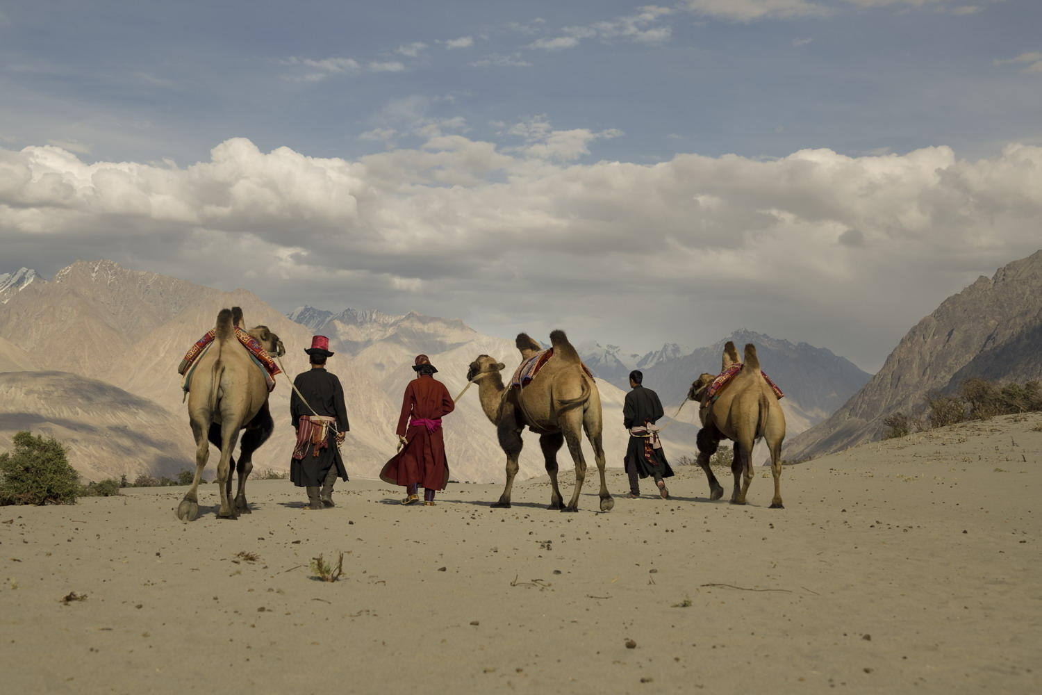 DSC_6475_1A2 - Camel Drivers (Hunder Sand Dunes)