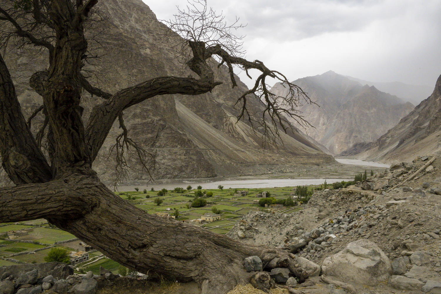 DSC_7974_1A2  - Shyok River View